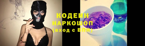прущие грибы Абаза