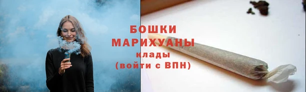 прущие грибы Абаза