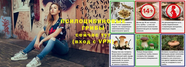 прущие грибы Абаза