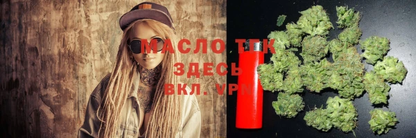 прущие грибы Абаза