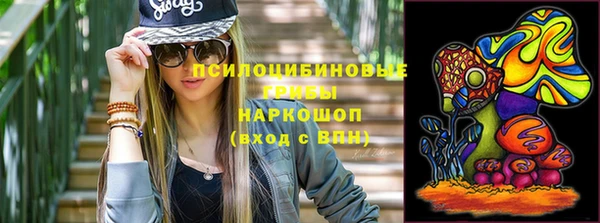 прущие грибы Абаза