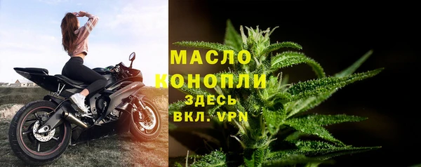прущие грибы Абаза