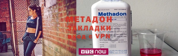 прущие грибы Абаза