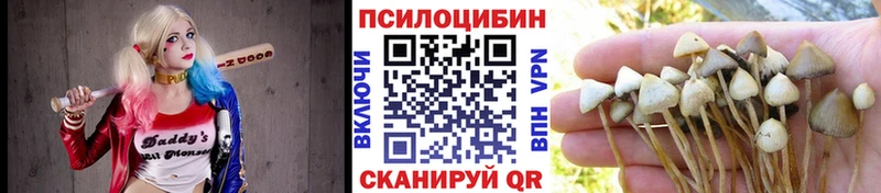 Псилоцибиновые грибы Magic Shrooms  сколько стоит  Новоалтайск 